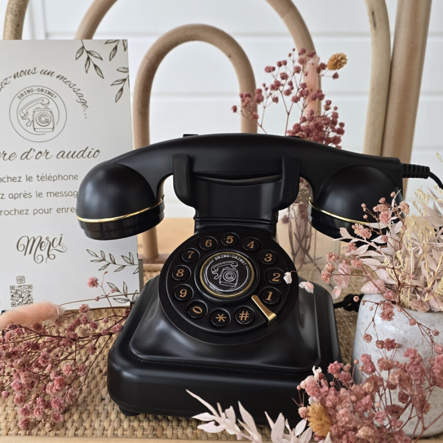 Rental of an audio guest book with your personal greeting, dispatch and return by post and all your guests' audio messages on a pretty wooden USB stick.