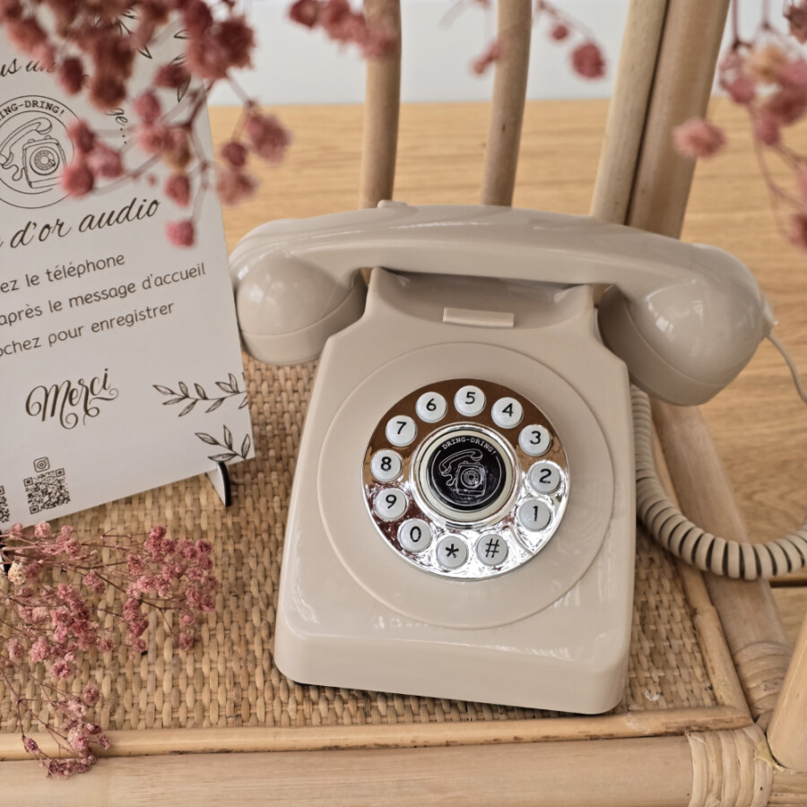 Rental of an audio guest book with your personal greeting, dispatch and return by post and all your guests' audio messages on a pretty wooden USB stick.
